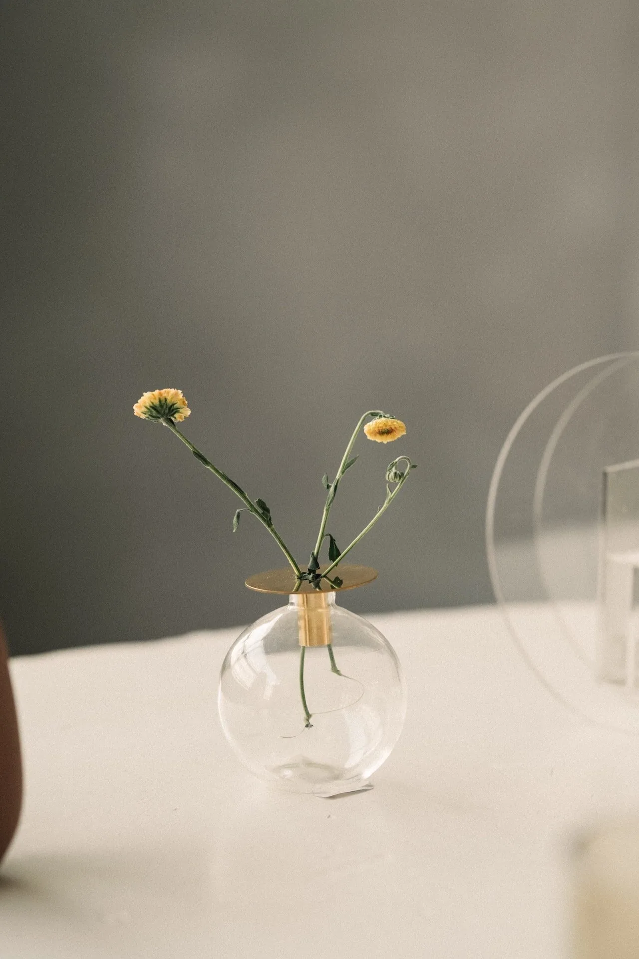 Fresh flowers on a calm clinic table